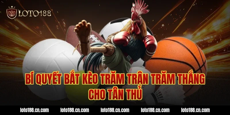 Bí Quyết Bắt Kèo Trăm Trận Trăm Thắng Cho Tân Thủ