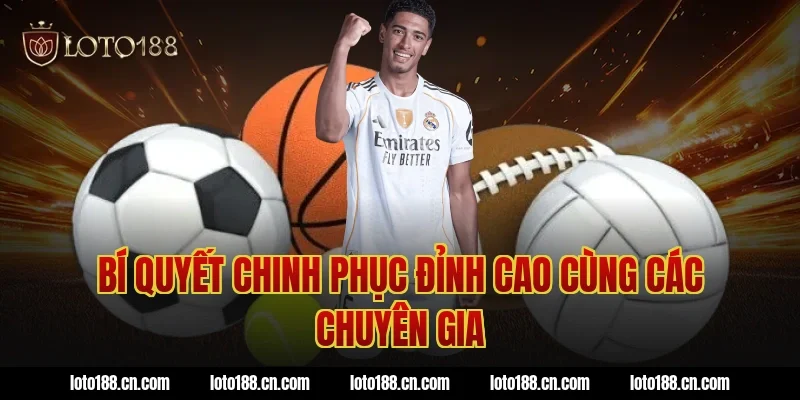 Bí Quyết Chinh Phục Đỉnh Cao Cùng Các Chuyên Gia