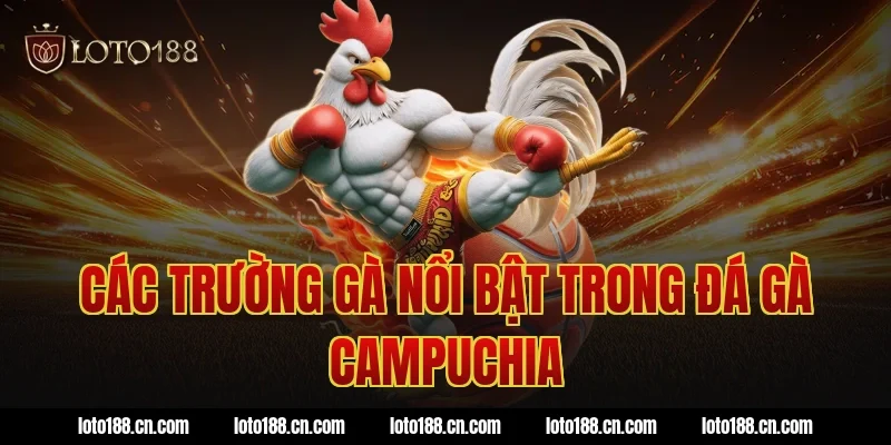 Các trường gà nổi bật trong đá gà Campuchia