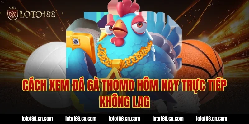 Cách xem đá gà thomo hôm nay trực tiếp không lag