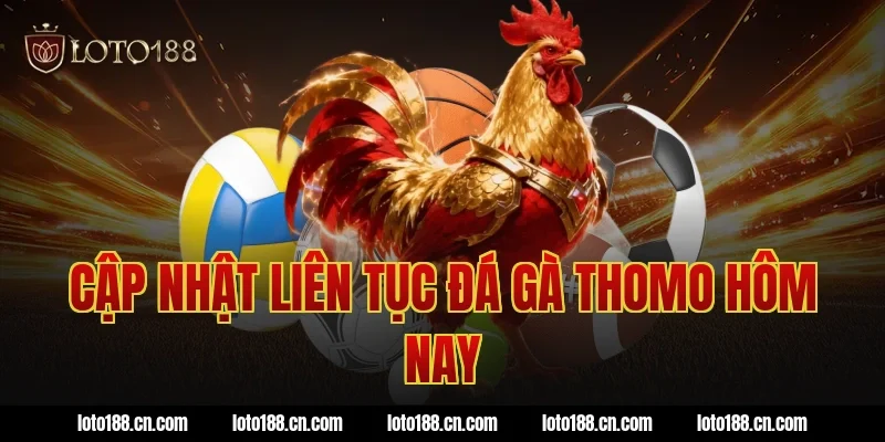 Cập nhật liên tục đá gà thomo hôm nay