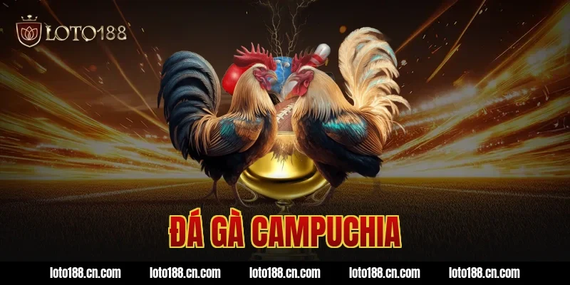 đá gà campuchia