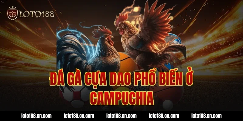 Đá gà cựa dao phổ biến ở Campuchia