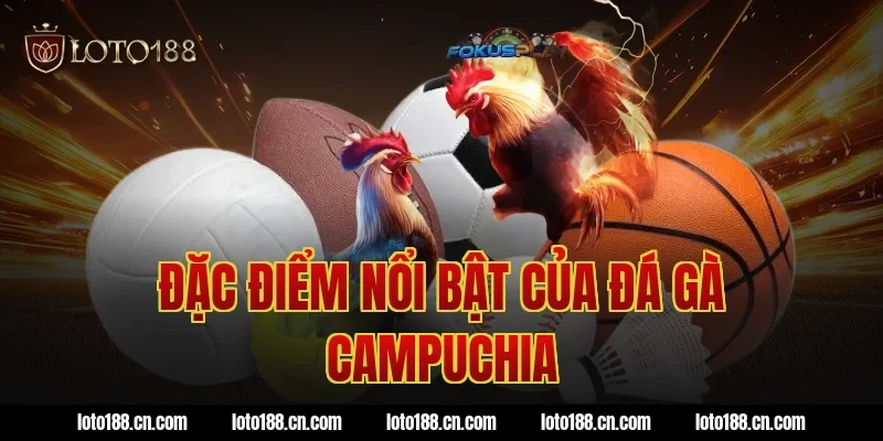 Đặc điểm nổi bật của đá gà Campuchia