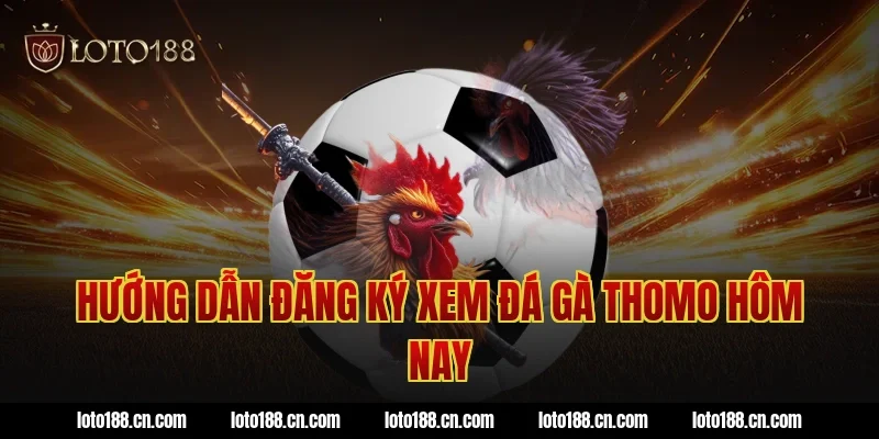 Hướng dẫn đăng ký xem đá gà thomo hôm nay
