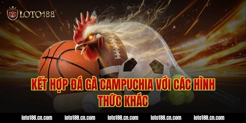 Kết hợp đá gà Campuchia với các hình thức khác