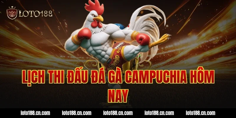Lịch thi đấu đá gà Campuchia hôm nay