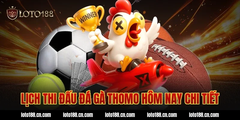 Lịch thi đấu đá gà thomo hôm nay chi tiết