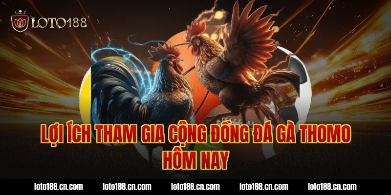 Lợi ích tham gia cộng đồng đá gà thomo hôm nay