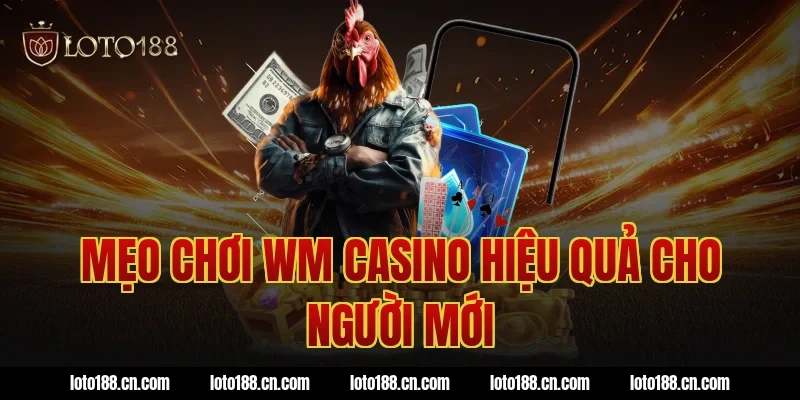 Mẹo chơi WM Casino hiệu quả cho người mới