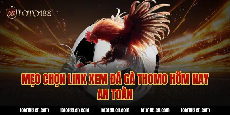 Mẹo chọn link xem đá gà thomo hôm nay an toàn
