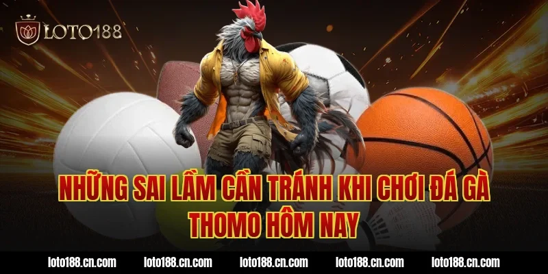 Những sai lầm cần tránh khi chơi đá gà thomo hôm nay