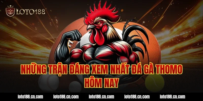 Những trận đáng xem nhất đá gà thomo hôm nay