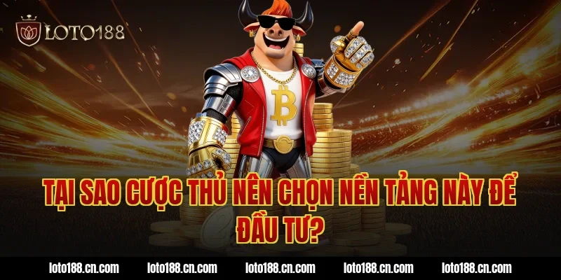 Tại sao cược thủ nên chọn nền tảng này để đầu tư?