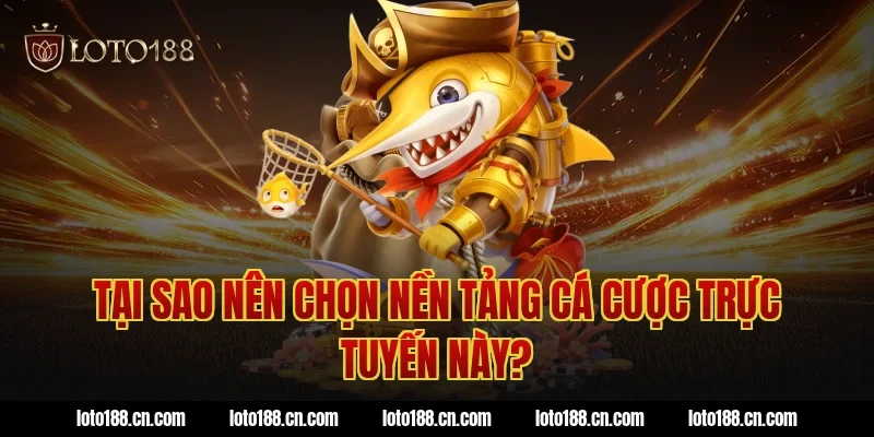Tại sao nên chọn nền tảng cá cược trực tuyến này?