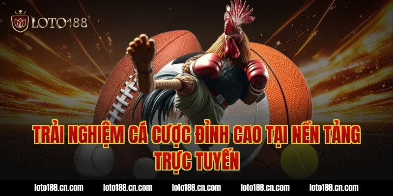 Trải Nghiệm Cá Cược Đỉnh Cao Tại Nền Tảng Trực Tuyến
