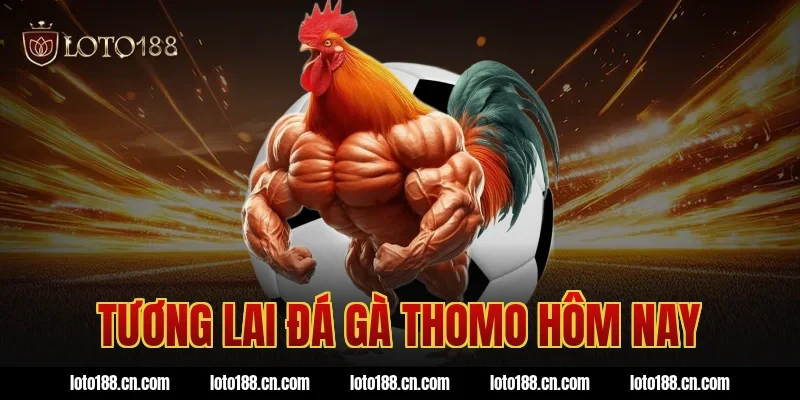 Tương lai đá gà thomo hôm nay