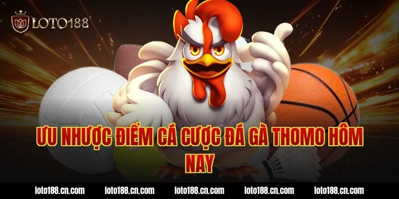 Ưu nhược điểm cá cược đá gà thomo hôm nay