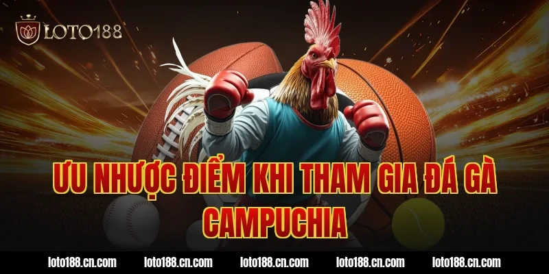 Ưu nhược điểm khi tham gia đá gà Campuchia
