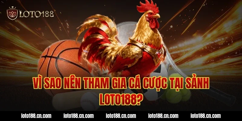 Vì Sao Nên Tham Gia Cá Cược Tại Sảnh LOTO188?