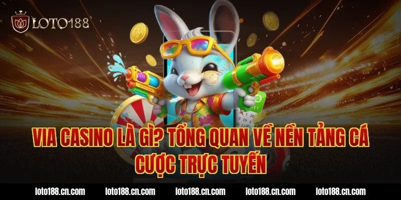 Via Casino Là Gì? Tổng Quan Về Nền Tảng Cá Cược Trực Tuyến